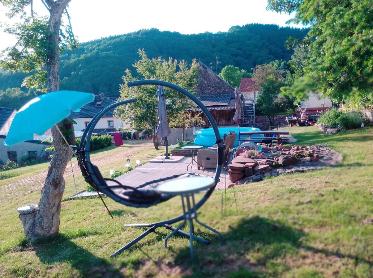 Happy Hippo Haus Appartement Mürlenbach Buitenkant foto